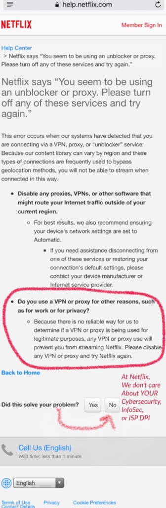 Netflix VPN Anti-Cybersecurity Policy